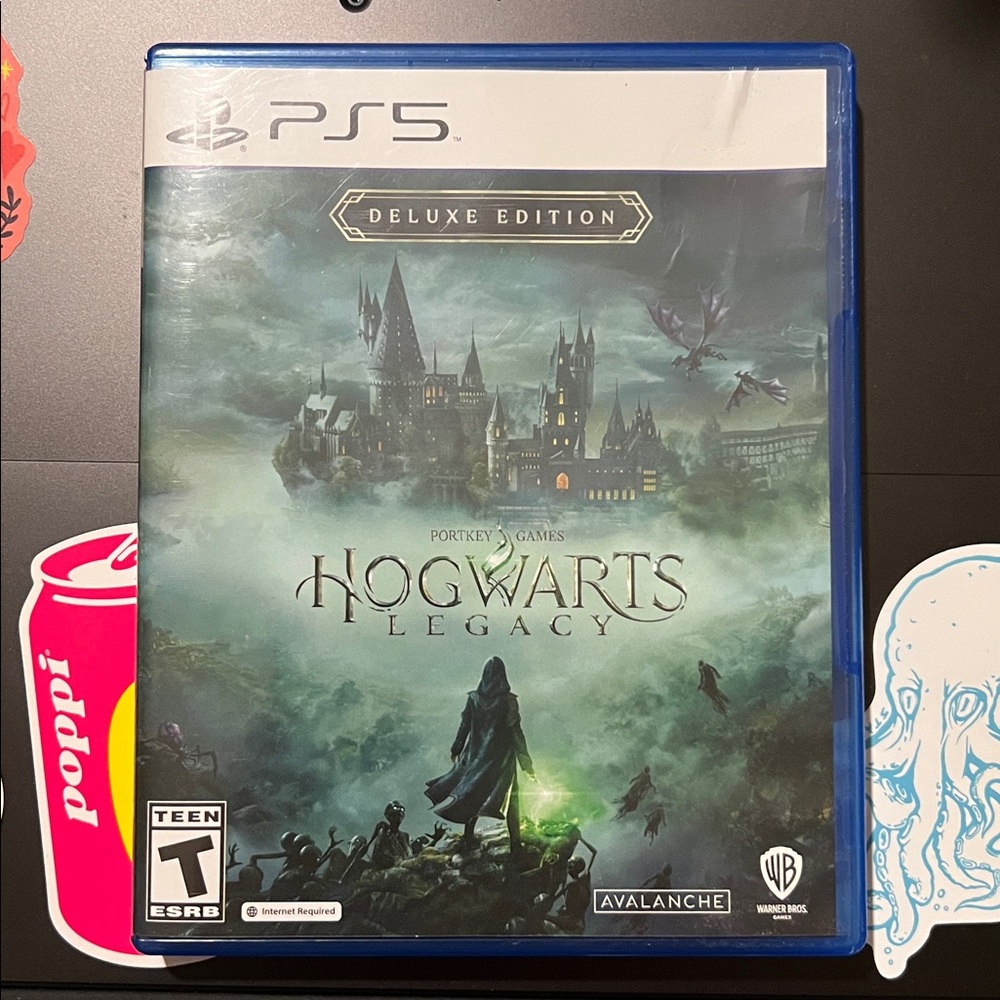 Hogwarts Legacy PlayStation 5 PS5